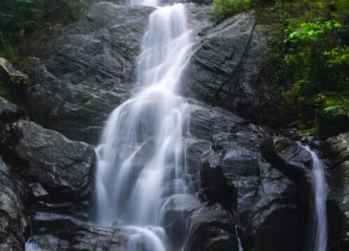 Whispers of the Central Province: Nature’s Soulful Journey