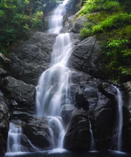 Whispers of the Central Province: Nature’s Soulful Journey