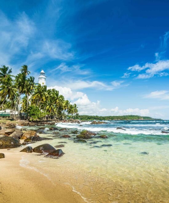 Surf beach