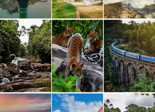 Discover Sri Lanka: An 11-Day Adventure
