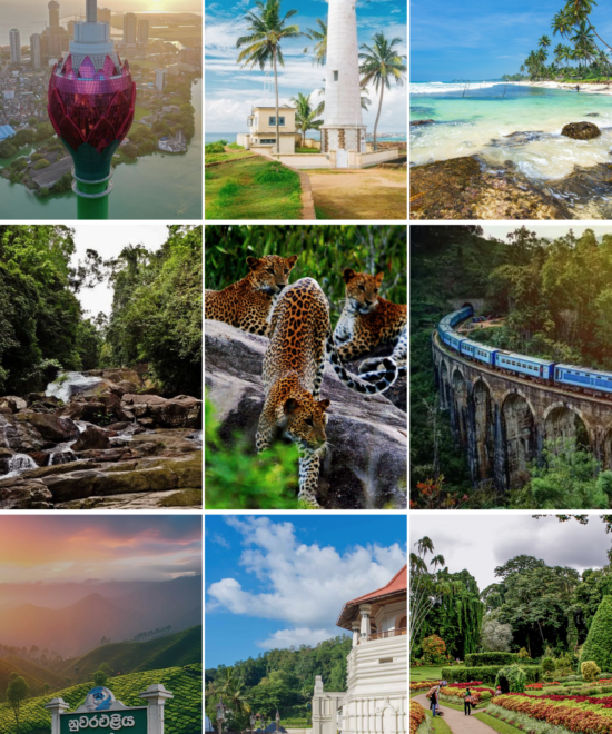 Discover Sri Lanka: An 11-Day Adventure