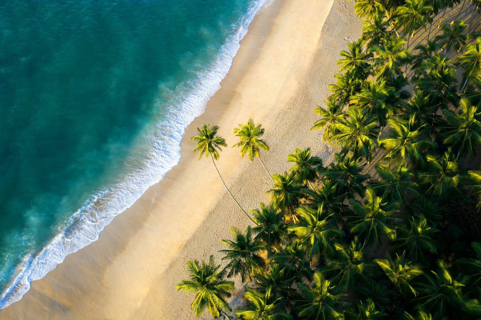 Embrace Island Life
