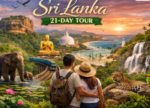 21 Days, One Island Story