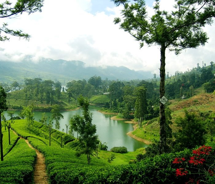 Nuwara Eliya