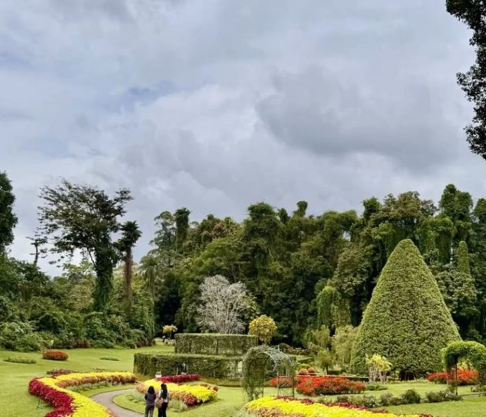 Royal Botanical Gardens, Peradeniya