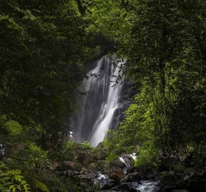 Sinharaja forest