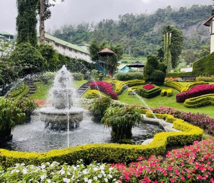Where to stay in Nuwara Eliya_ A Guide to the Best Hotels and Areas 2026 - Girl on a Zebra